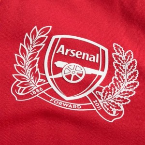 ARSENAL ESCUDO